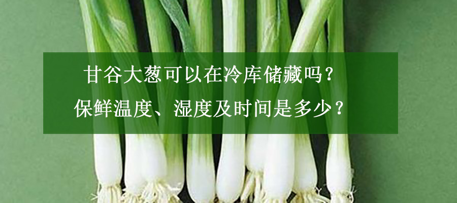 甘谷大蔥可以在冷庫儲藏嗎？保鮮溫度、濕度及時間是多少？