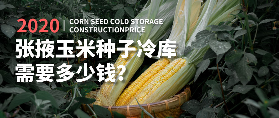 2020年建造張掖玉米種子冷庫(kù)需要多少錢？