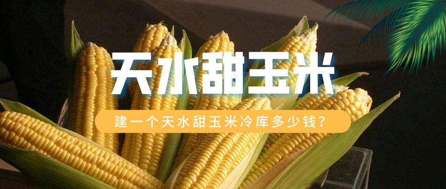 建一個(gè)天水甜玉米冷庫(kù)多少錢(qián)？