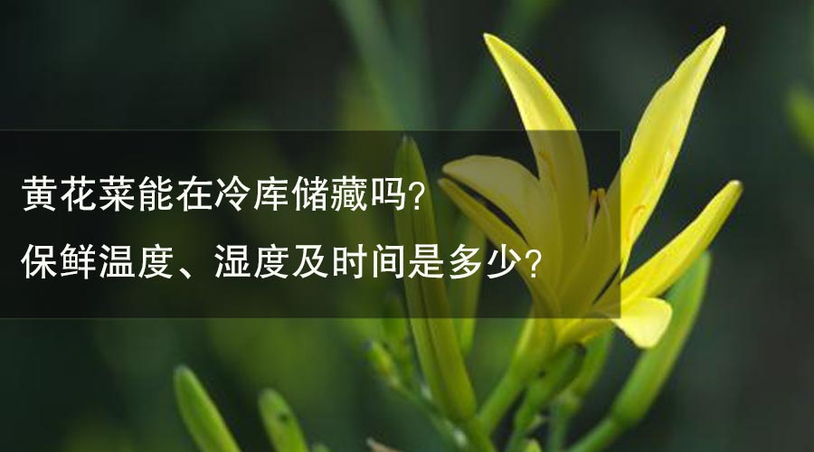 黃花菜能放在冷庫儲(chǔ)藏嗎？保鮮溫度、濕度及時(shí)間是多少？