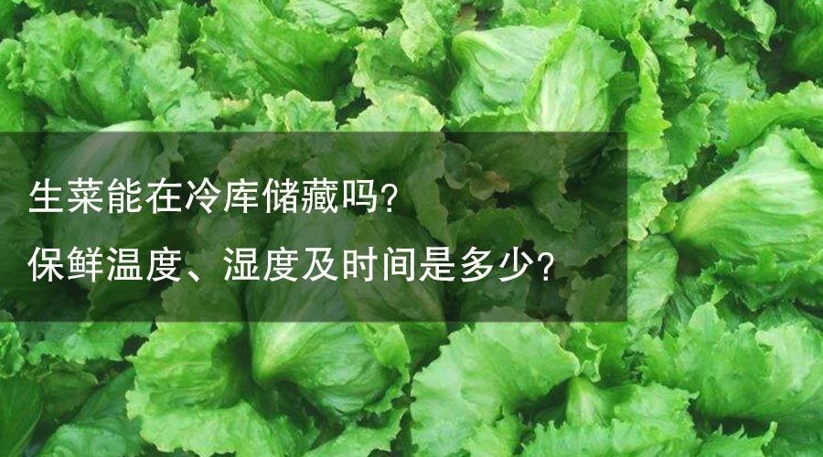 生菜能在冷庫(kù)儲(chǔ)藏嗎？保鮮溫度、濕度及時(shí)間是多少？