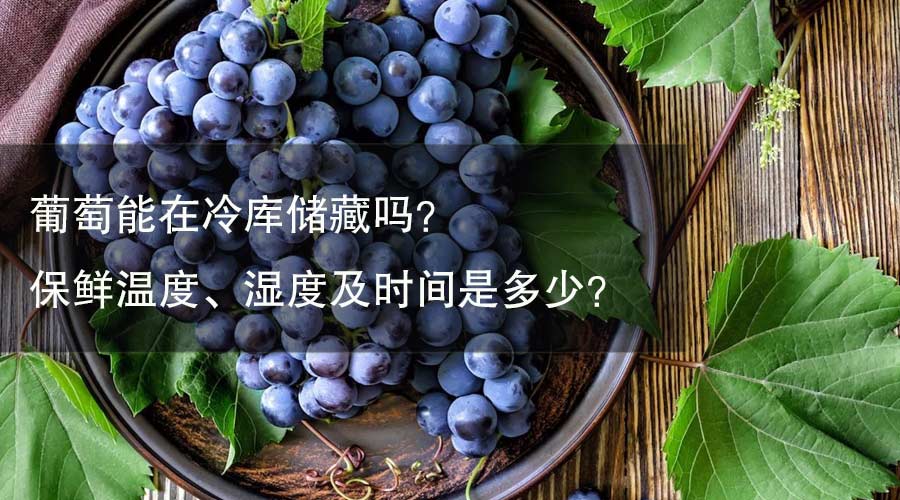 葡萄能在冷庫儲(chǔ)藏嗎？ 保鮮溫度、濕度及時(shí)間是多少？