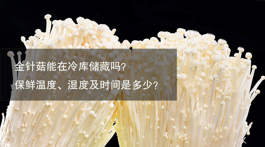 金針菇冷庫(kù)保鮮溫度、相對(duì)濕度及時(shí)間介紹