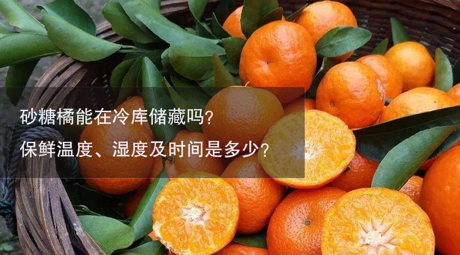 砂糖橘冷庫溫度、濕度及時(shí)間介紹