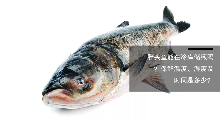 胖頭魚（鳙魚）冷庫儲藏溫度、相對濕度及貯藏時間介紹