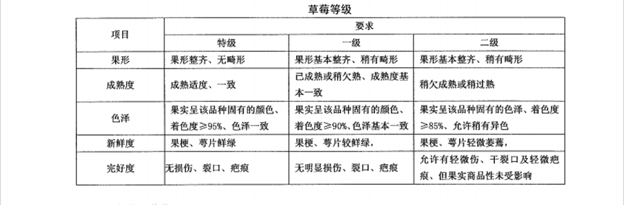 草莓的等級標(biāo)準(zhǔn)