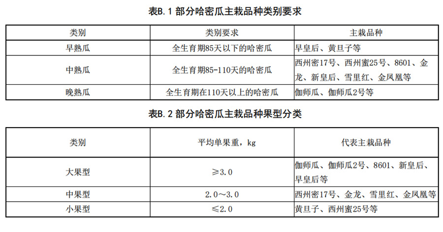 哈密瓜早、中、熟瓜和大中型瓜的分類要求