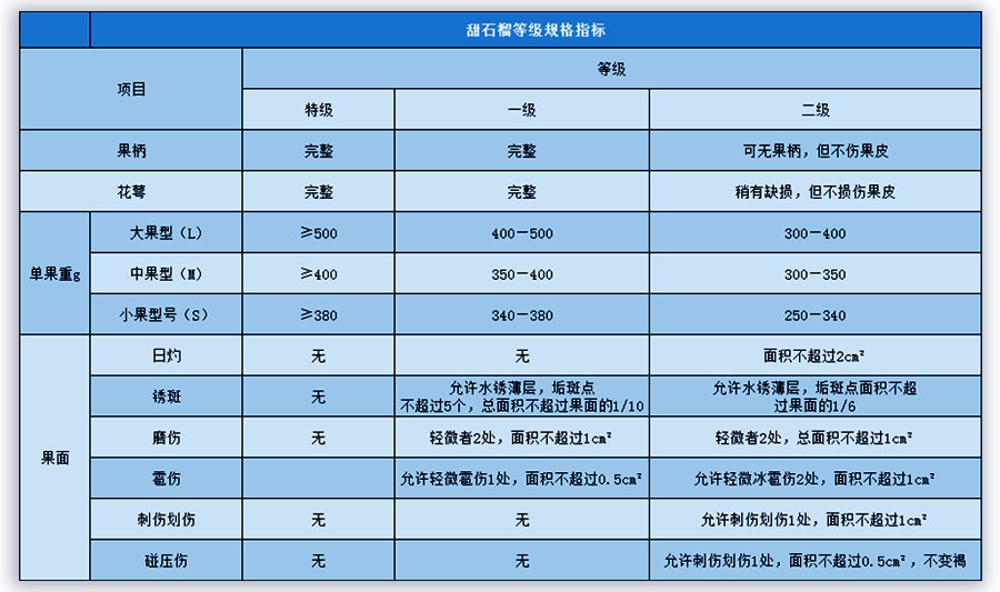 石榴入冷庫(kù)庫(kù)前的分級(jí)工作