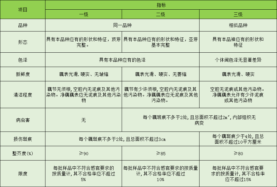 蓮藕放冷庫前分級(jí)標(biāo)準(zhǔn)