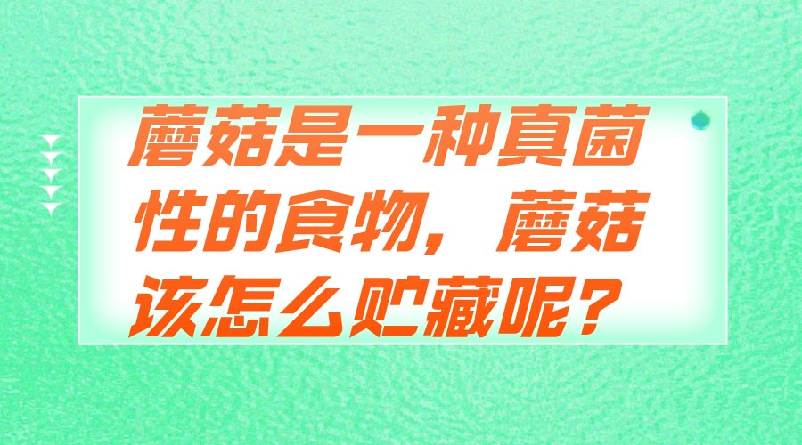 蘑菇是一種真菌性的食物，蘑菇該怎么貯藏呢？