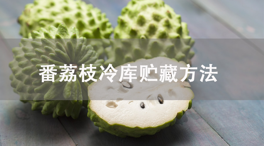 番荔枝冷庫(kù)貯藏