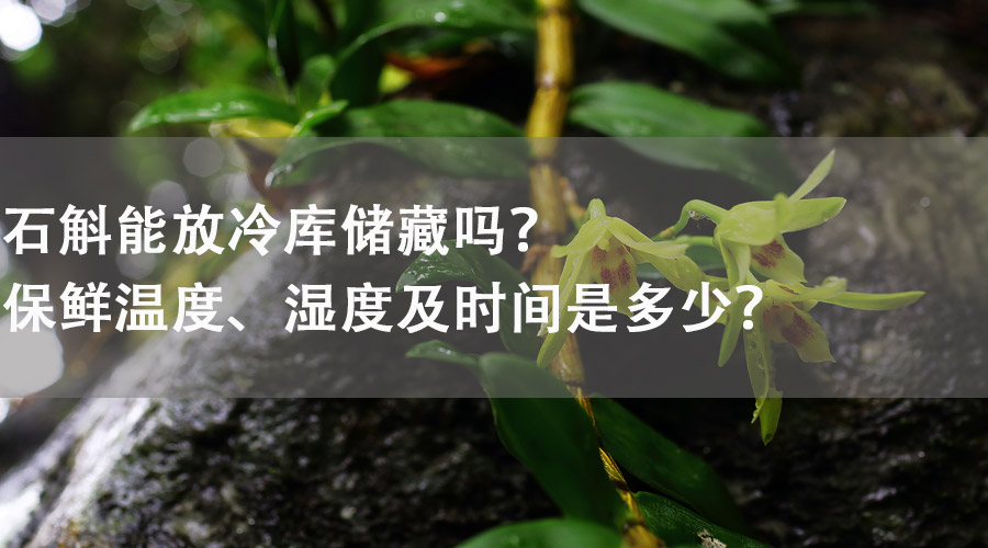 石斛能放在冷庫儲藏嗎？保鮮溫度、濕度及時間是多少？