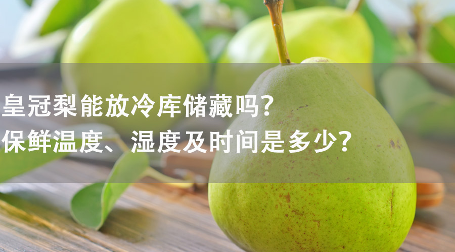 皇冠梨能在冷庫儲(chǔ)藏嗎？保鮮溫度、濕度及時(shí)間是多少？