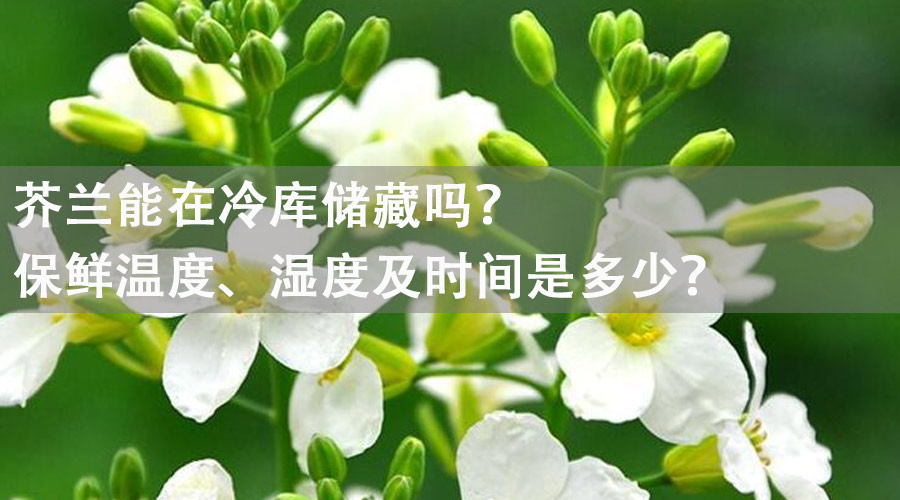 芥蘭能在冷庫(kù)儲(chǔ)藏嗎？保鮮溫度、濕度及時(shí)間是多少？