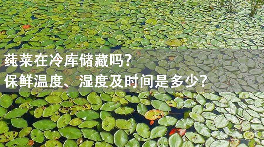 莼菜能在冷庫(kù)儲(chǔ)藏嗎？保鮮溫度、濕度及時(shí)間是多少？