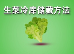 生菜冷庫(kù)存儲(chǔ)方法介紹，這樣做保鮮1個(gè)月！