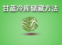 包菜（甘藍(lán)）冷庫(kù)儲(chǔ)藏技術(shù)分享，保鮮期可達(dá)3個(gè)月！