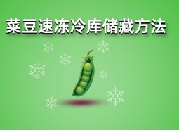 四季豆（菜豆）速凍冷庫(kù)儲(chǔ)藏方法詳解，保鮮時(shí)間1年不變質(zhì)！