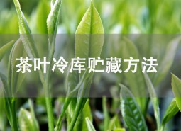 茶葉貯藏方法是什么？茶葉冷庫(kù)儲(chǔ)存介紹！