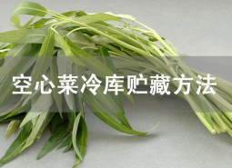 空心菜冷庫(kù)貯藏方法詳解！這樣貯藏可保鮮1個(gè)月！