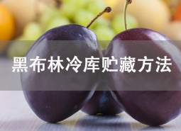 黑布林貯藏方法介紹！冷庫(kù)保鮮3個(gè)月不壞