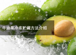 牛油果冷庫貯藏溫度為多少？可以在冷庫貯藏多長時(shí)間？-萬能制冷